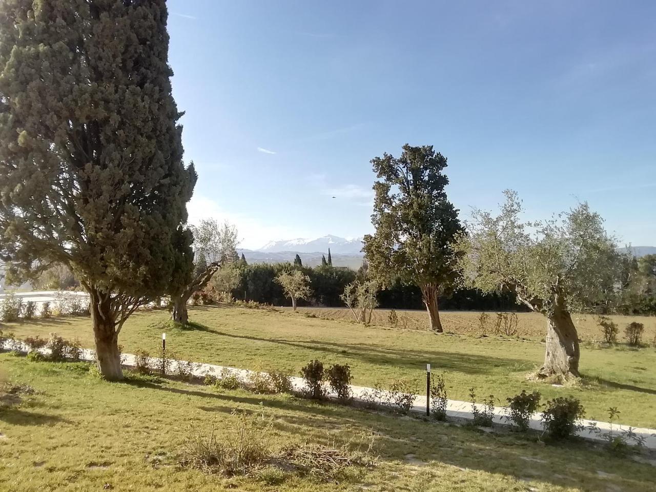 Ferienwohnung Il Roccolo Di Valcerasa Treia Exterior foto
